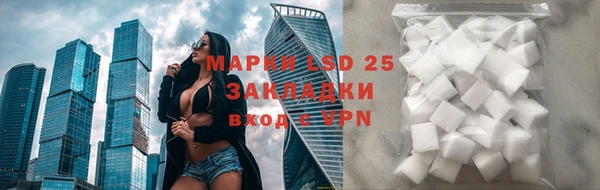 ешки Богданович