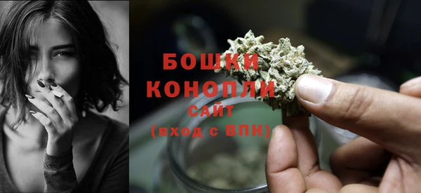 ешки Богданович