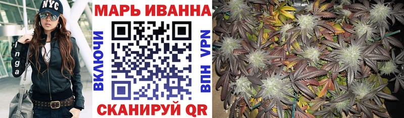 Бошки марихуана гибрид продажа наркотиков Минеральные Воды